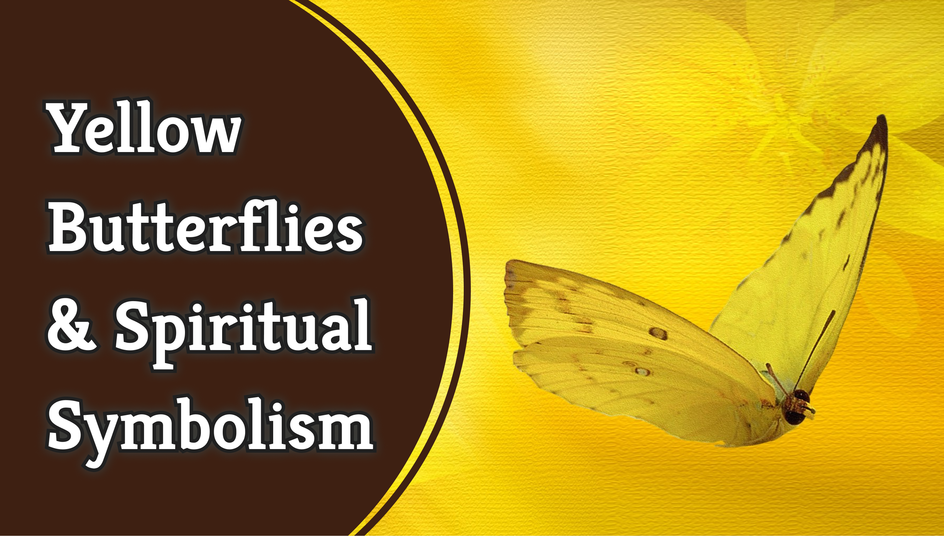 yellow butterflies and spiritual symbolism