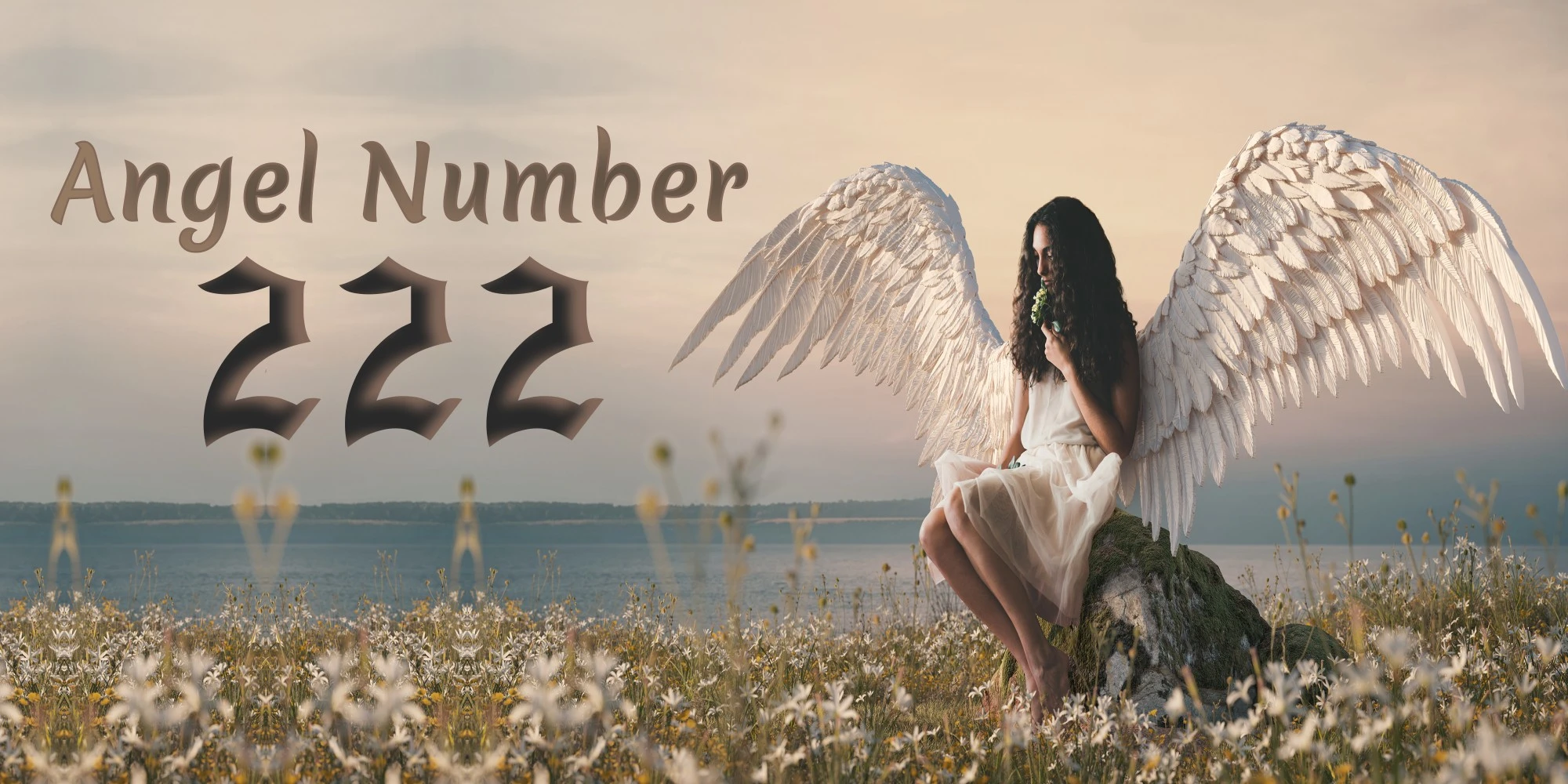The 222 Angel Number Meaning & symbolism in your life, love, Twin Flame and Money.
