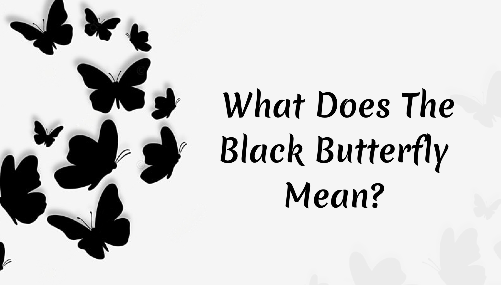 Black Butterfly Meaning & Spiritual Symbolism for Cultures