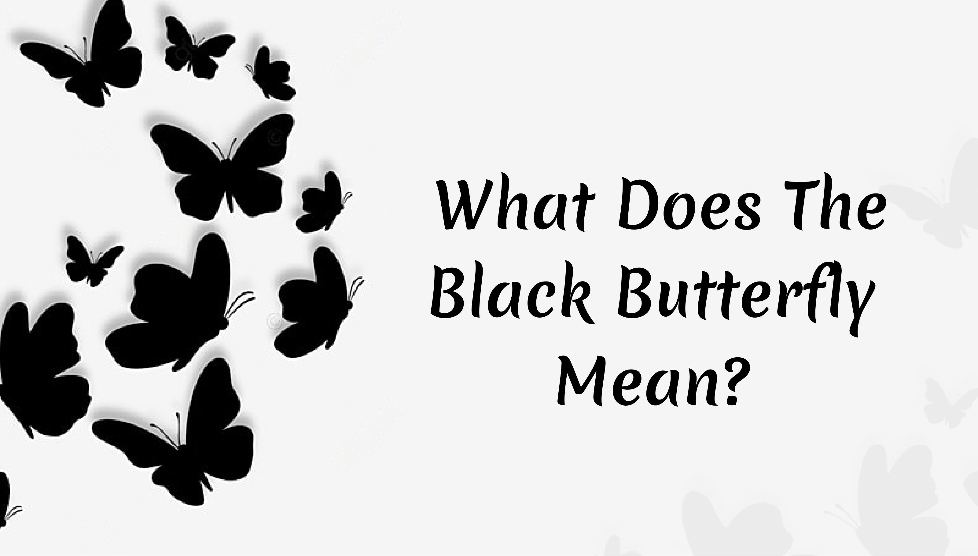 Black Butterfly Meaning – What Does The Black Butterfly Mean?