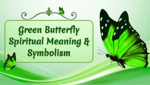 green butterflt meaning
