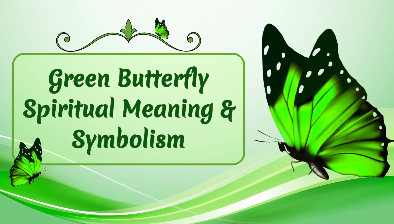 Green Butterfly Spiritual Meaning & Symbolism
