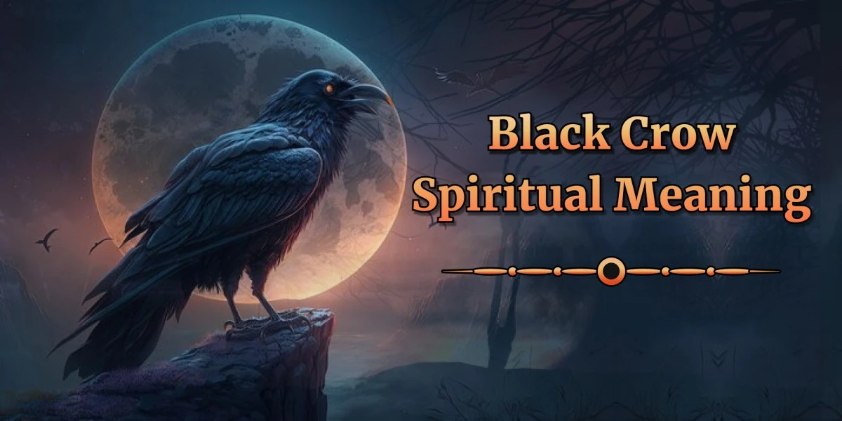 black crow spiritual meaning