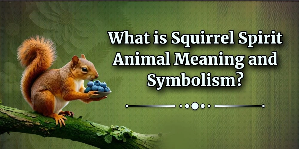 What is Squirrel Spirit Animal Meaning and Symbolism?