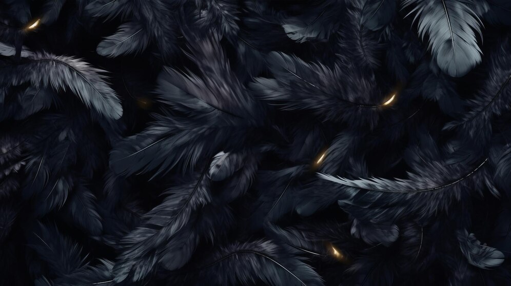Black Feathers Symbolize