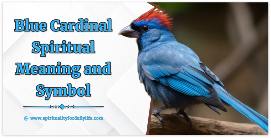 What does Blue Cardinal Spiritual Meaning mean?