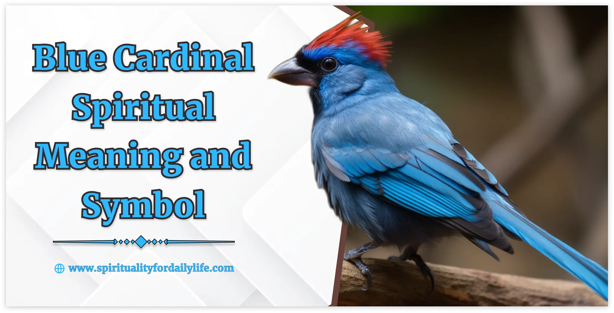 Blue Cardinal Spiritual Meaning and Symbol