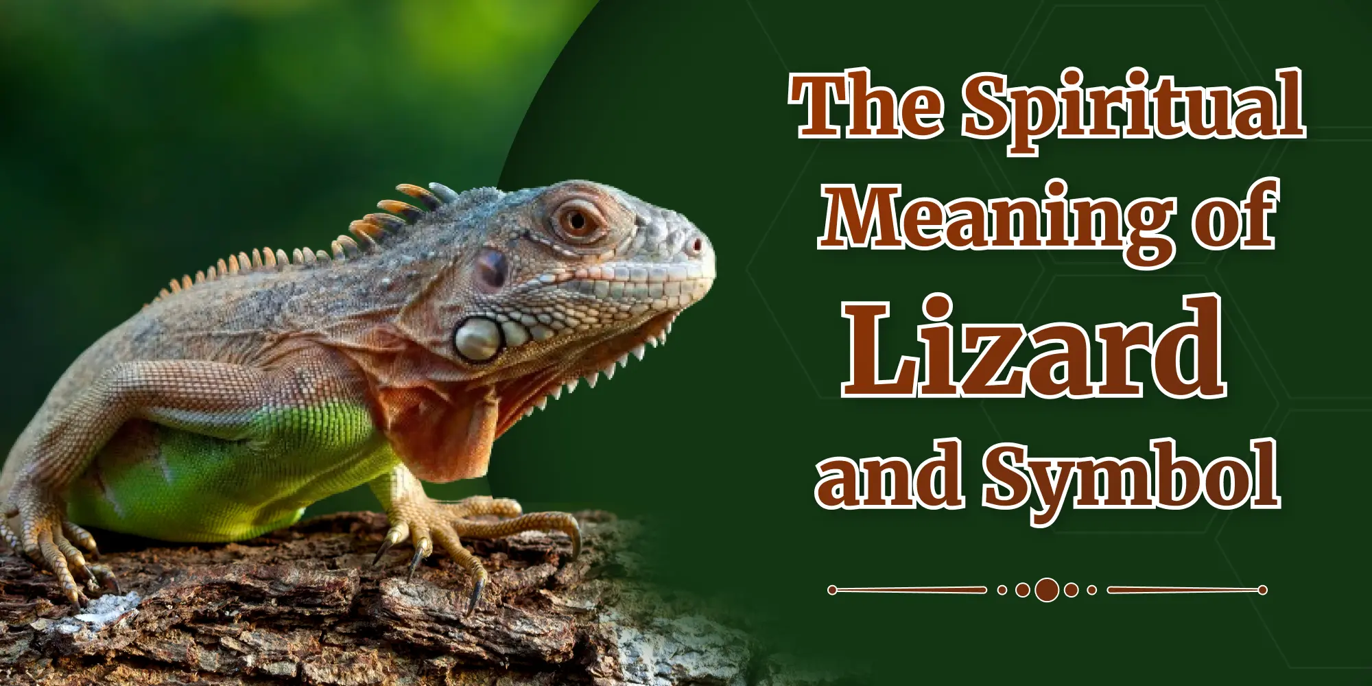 The Spiritual meaning of Lizard and Symbol