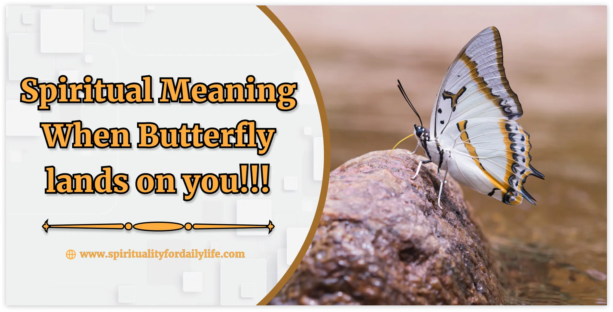 spiritual meaning butterfly lands on you
