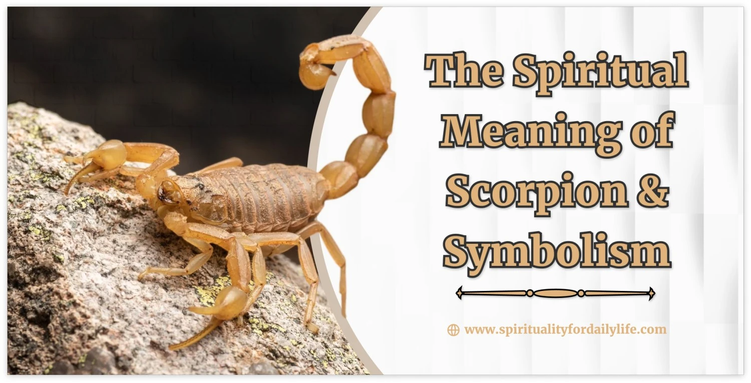 The Spiritual Meaning of Scorpion & Symbolism