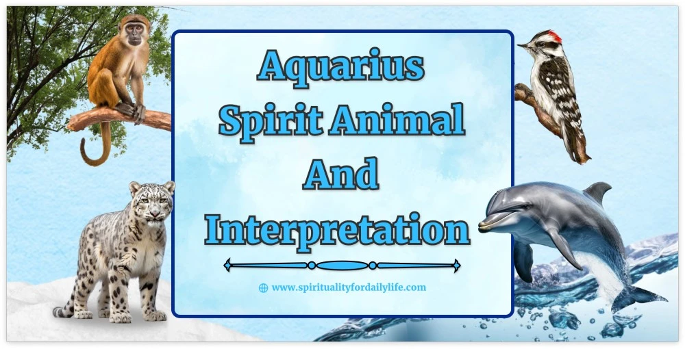 Aquarius Spirit animal and Interpretation